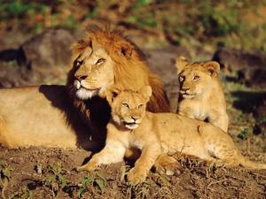 Leon_Familiaa-7038801280